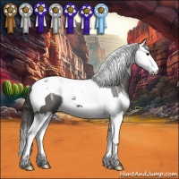 Horse Color:Smoky Black Ice Splash Tobiano 