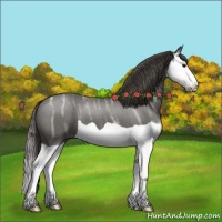 Horse Color:Smoky Black Ice Splash