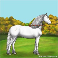 Horse Color:Silver Smoky Black Ice Splash Tobiano 