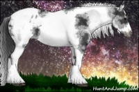 Horse Color:White Spotted Black Splash Tobiano Frame Appaloosa 