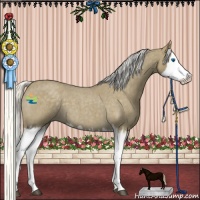 Horse Color:Silver Smoky Blue Roan Splash 