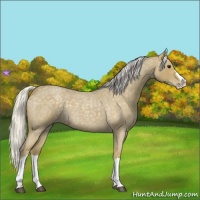 Horse Color:Silver Smoky Blue Roan Splash 