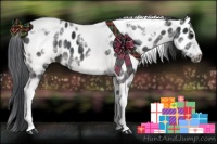 Horse Color:White Spotted Black Splash Tobiano Frame Near Leopard 