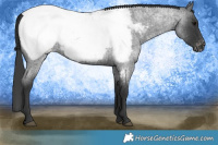 Horse Color:Blue Roan Near Fewspot 