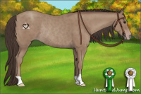Horse Color:Classic Champagne Rabicano 