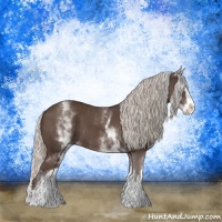Horse Color:White Spotted Silver Black Splash