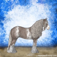 Horse Color:White Spotted Silver Blue Roan Splash 