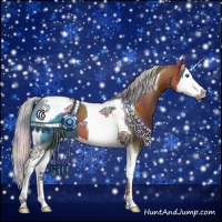 Horse Color:Nacre Silver Bay Splash Tobiano 