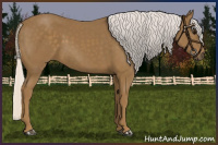 Horse Color:Silver Smoky Black 
