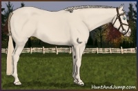 Horse Color:Smoky Creme 