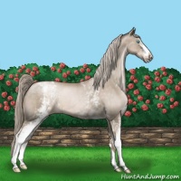 Horse Color:White Spotted Chocolate Palomino Roan Pearl