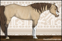 Horse Color:Buckskin Dun Varnish Rabicano