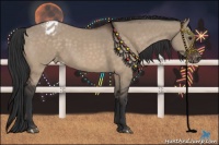 Horse Color:Brown Dun Varnish Rabicano 