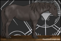 Horse Color:Smoky Black