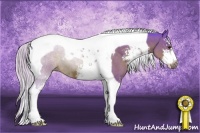 Horse Color:Watercolor Silver Brown Sabino Tobiano