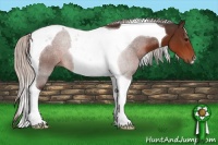 Horse Color:Silver Brown Tobiano 