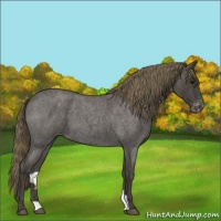 Horse Color:Smoky Blue Roan Varnish 