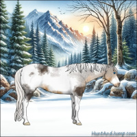 Horse Color:White Spotted Silver Smoky Black Tobiano Frame 