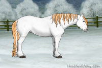 Horse Color:Gray Painted White Spotted Silver Brown Dun 