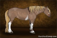 Horse Color:Painted White Spotted Silver Brown Dun 