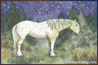 Horse Color:Watercolor White Spotted Silver Classic Champagne Dun Appaloosa 