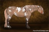 Horse Color:Painted White Spotted Silver Brown Dun 
