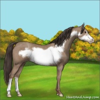Horse Color:Classic Champagne Frame 