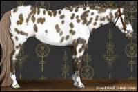 Horse Color:Chocolate Palomino Frame Near Leopard 