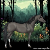 Horse Color:Grullo 