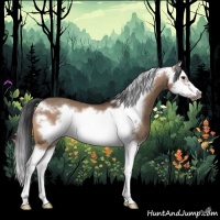 Horse Color:Brown Dun Splash Frame Rabicano 
