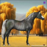 Horse Color:Liver Chestnut Mushroom Rabicano 
