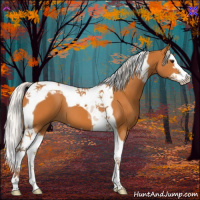 Horse Color:Silver Buckskin Sabino Splash Tobiano 