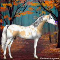 Horse Color:Silver Amber Cream Champagne Splash Tobiano 