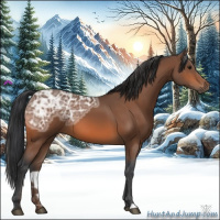 Horse Color:Bay Ice 