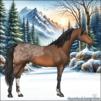 Horse Color:Bay Ice 