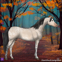 Horse Color:Bay Ice Roan Dun 