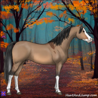 Horse Color:Bay Dun Splash