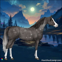 Horse Color:Smoky Black Splash 
