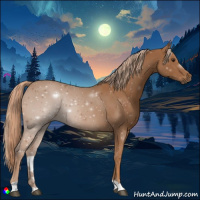 Horse Color:Chestnut Rabicano 