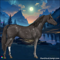 Horse Color:Smoky Black 