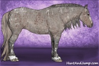 Horse Color:Brown Ice  and Silver Blue Roan 