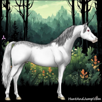 Horse Color:Silver Classic Champagne Chinchilla Splash Frame 