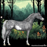 Horse Color:Silver Blue Chinchilla Roan Frame 