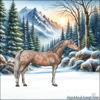 Horse Color:Silver Bay Ice 