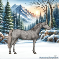 Horse Color:Silver Black Ice 