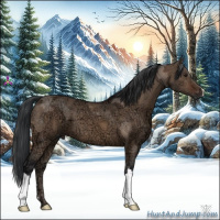 Horse Color:Brown Ice Dun