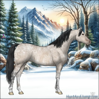 Horse Color:Bay Ice Dun 