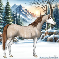 Horse Color:Red Dun Ice Splash