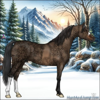 Horse Color:Bay Ice Dun