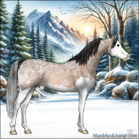 Horse Color:Bay Ice Dun Splash